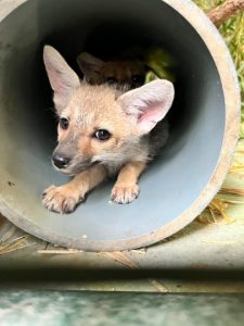 356421393_656661716505101_7633868301435447901_n