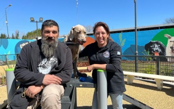 Bruno, el perro de rastreo que dio nombre a la nueva plaza de nuestra ciudad