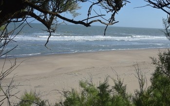 Cuidemos el ambiente