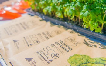 Nueva temporada de semillas ‘Huerta en Casa’