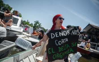 Nuevamente el Delta sin luz: isleños denuncian que el servicio se cortó el domingo