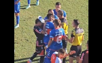 Tigre-Chacarita: se suspendió el partido por un botellazo a un jugador