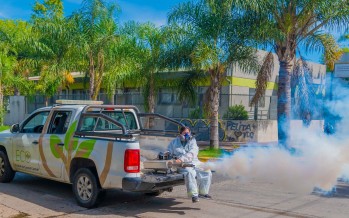 Cómo prevenir el dengue y qué hacer ante sus síntomas