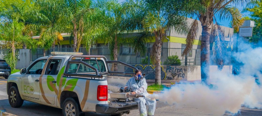 Cómo prevenir el dengue y qué hacer ante sus síntomas