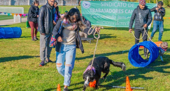 San Fernando celebra el Día del Animal en el Parque del Bicentenario