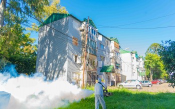 Operativos de fumigación y prevención del dengue