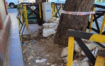 Hace más de dos semanas que Edenor tiene abierto importante pozo en la vereda de una escuela