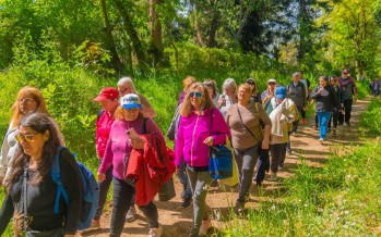 Adultos mayores de los polideportivos 2 y 7 visitaron el EcoParque