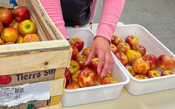 El Municipio reforzó el Servicio Alimentario de escuelas secundarias
