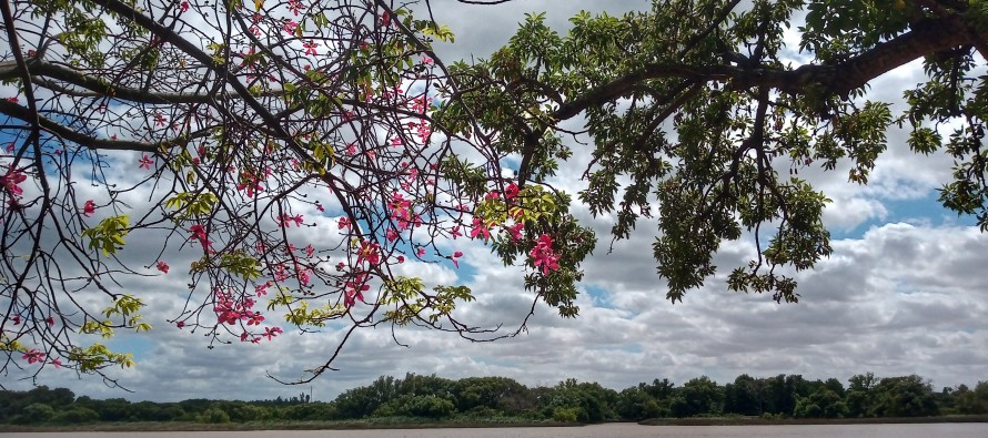 Se conmemora hoy el Día del Río Luján