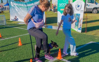 Día del Animal en el Parque del Bicentenario
