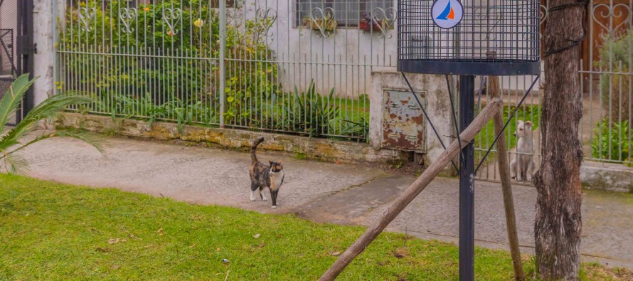 Operativo municipal en el Barrio Aviación
