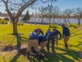 Tareas de parquización en la costanera municipal