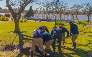 Tareas de parquización en la costanera municipal