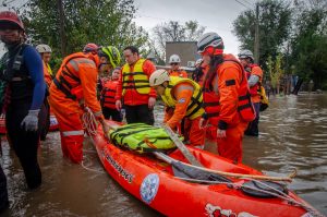 voluntarios cepa