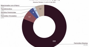 Un femicidio cada 35 horas: el alarmante balance de la Defensoría del Pueblo sobre 2025