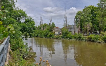 El Canal San Fernando será señalizado como Sitio de Memoria