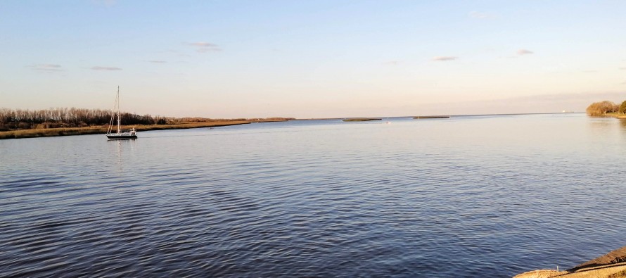 Ambientes costeros bonaerenses: Lanzan nueva capacitación con puntaje para docentes de secundaria