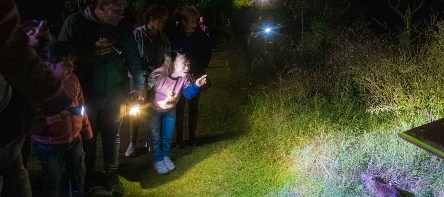 Visitas guiadas nocturnas en la Reserva Ecológica Educativa