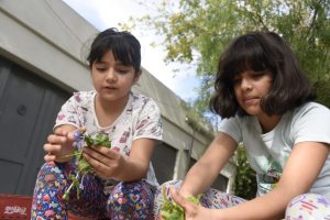 WhatsApp Image 2026-04-10 at 12.40.37