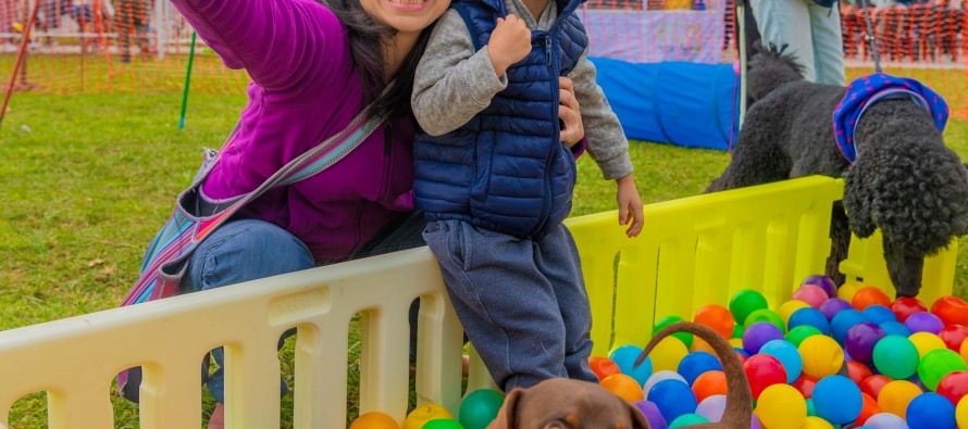 El Día del Animal se celebró en el Parque del Bicentenario con diversas actividades