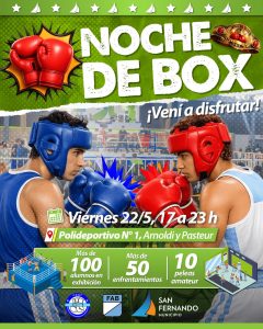 noche de box 22 de mayo san fernando