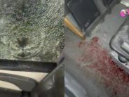 Ataque a micros de hinchas de Tigre: un socio herido y tensión en el regreso