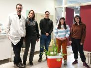 Fabrican humedales artificiales para sanear el río Reconquista