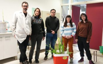 Fabrican humedales artificiales para sanear el río Reconquista