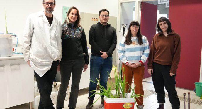 Fabrican humedales artificiales para sanear el río Reconquista