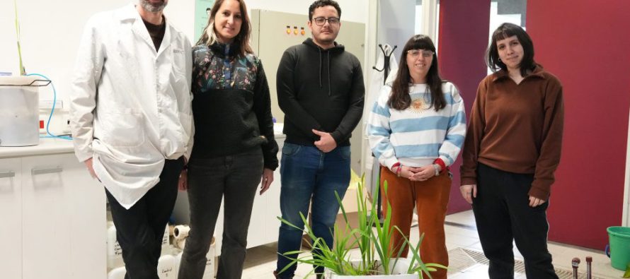 Fabrican humedales artificiales para sanear el río Reconquista