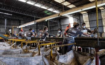 Ambiente de la Provincia y la UNSAM lanzan curso de gestión de residuos para municipios