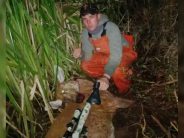 Caza ilegal en el Delta: buscan al responsable de la muerte de un ciervo de los pantanos