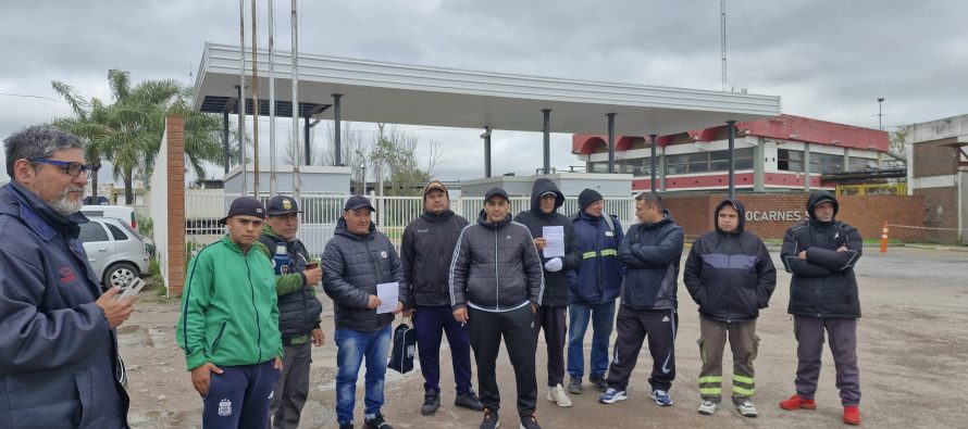 «Trabajadores de descarte»: despidos silenciosos y falta de pago en la planta de Ecocarnes